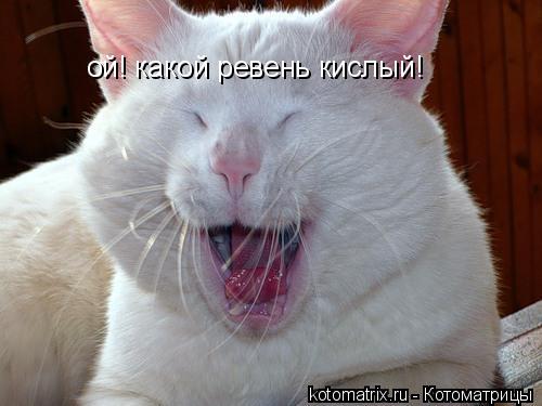 ой! какой ревень кислый!... Котоматрица: ой! какой ревень кислый!