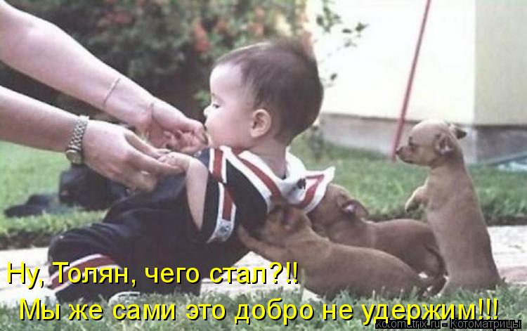 Котоматрица: Ну, Толян, чего стал?!! Мы же сами это добро не удержим!!!