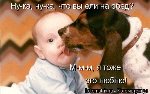 Ну-ка, ну-ка, что вы ели на обед? М-м-м, я тоже это люблю!... Котоматрица: Ну-ка, ну-ка, что вы ели на обед? М-м-м, я тоже это люблю!