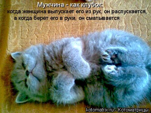 а когда берет его в руки, он сматывается когда женщина выпускает его из рук, он распускается, Мужчина... Котоматрица: а когда берет его в руки, он сматывается когда женщина выпускает его из рук, он распускается, Мужчина - как клубок: