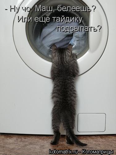 Котоматрица: - Ну чо, Маш, белеешь? Или еще тайдику  подсыпать?
