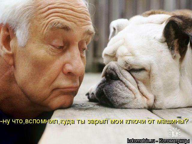 -ну что,вспомнил,куда ты зарыл мои ключи от машины?... Котоматрица: -ну что,вспомнил,куда ты зарыл мои ключи от машины?