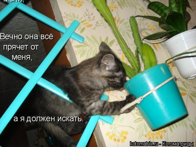 Вечно она всё прячет от меня, меня, а я должен искать.... Котоматрица: Вечно она всё прячет от меня, меня, а я должен искать.
