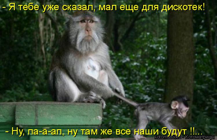 - Я тебе уже сказал, мал еще для дискотек! - Ну, па-а-ап, ну там же все наши будут !!...... Котоматрица: - Я тебе уже сказал, мал еще для дискотек! - Ну, па-а-ап, ну там же все наши будут !!...