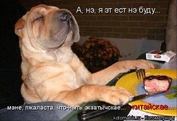 А, нэ, я эт ест нэ буду... мэне, пжаласта, что-ныть экзатычскае... китайскае...... Котоматрица: А, нэ, я эт ест нэ буду... мэне, пжаласта, что-ныть экзатычскае... китайскае...