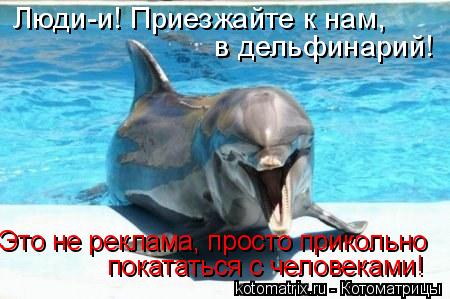 Котоматрица: Люди-и! Приезжайте к нам, в дельфинарий! Это не реклама, просто прикольно покататься с человеками!