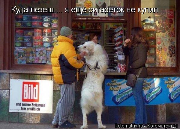 Куда лезеш.... я ещё сигареток не купил... Котоматрица: Куда лезеш.... я ещё сигареток не купил