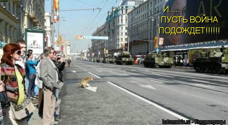 И..... ПУСТЬ ВОЙНА ПОДОЖДЕТ!!!!!!... Котоматрица: И..... ПУСТЬ ВОЙНА ПОДОЖДЕТ!!!!!!