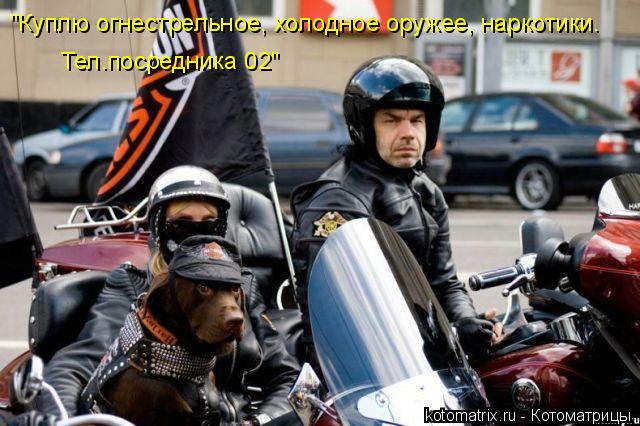 "Куплю огнестрельное, холодное оружее, наркотики. Тел.посредника 02"... Котоматрица: "Куплю огнестрельное, холодное оружее, наркотики. Тел.посредника 02"