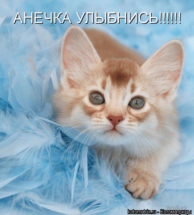 АНЕЧКА УЛЫБНИСЬ!!!!!!... Котоматрица: АНЕЧКА УЛЫБНИСЬ!!!!!!