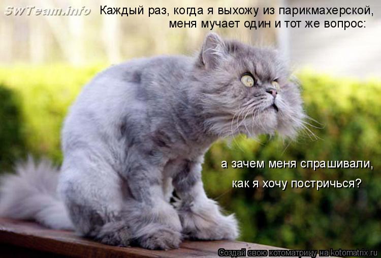 Каждый раз, когда я выхожу из парикмахерской, меня мучает один и тот же вопрос: а зачем меня спрашив... Котоматрица: Каждый раз, когда я выхожу из парикмахерской, меня мучает один и тот же вопрос: а зачем меня спрашивали, как я хочу постричься?