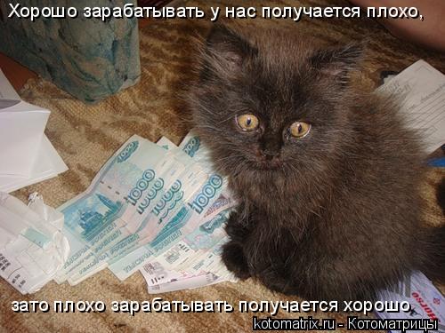 Хорошо зарабатывать у нас получается плохо, зато плохо зарабатывать получается хорошо... Котоматрица: Хорошо зарабатывать у нас получается плохо, зато плохо зарабатывать получается хорошо