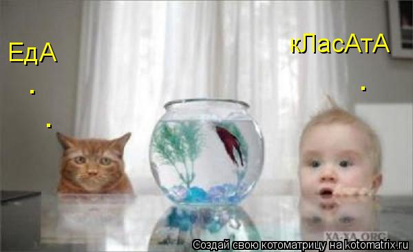 кЛасАтА ЕдА . . .... Котоматрица: кЛасАтА ЕдА . . .