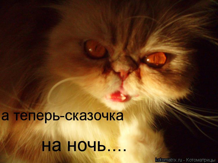 а теперь-сказочка на ночь....... Котоматрица: а теперь-сказочка на ночь....