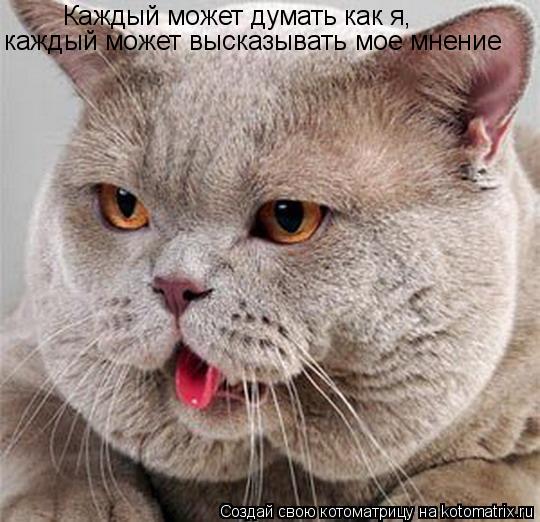 Каждый может думать как я, каждый может высказывать мое мнение... Котоматрица: Каждый может думать как я, каждый может высказывать мое мнение