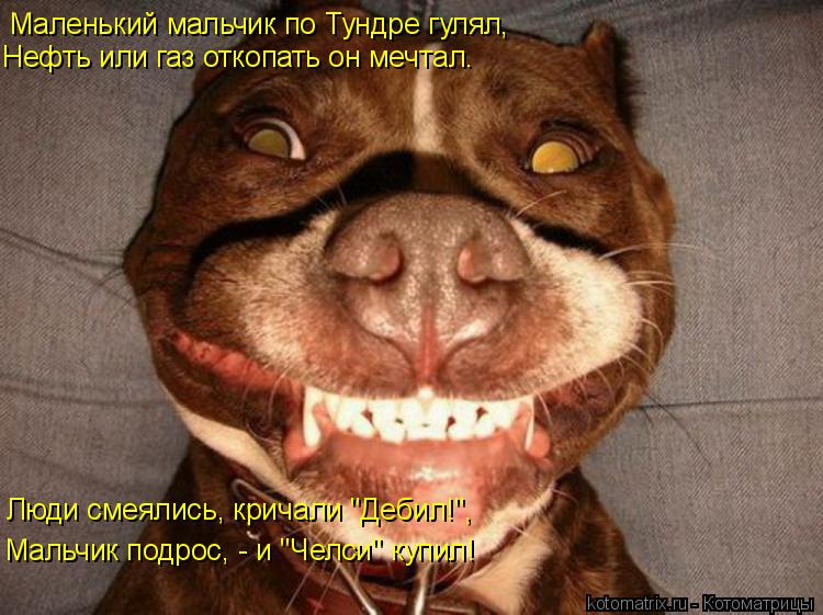 Котоматрица: Маленький мальчик по Тундре гулял, Нефть или газ откопать он мечтал. Люди смеялись, кричали "Дебил!", Мальчик подрос, - и "Челси" купил!