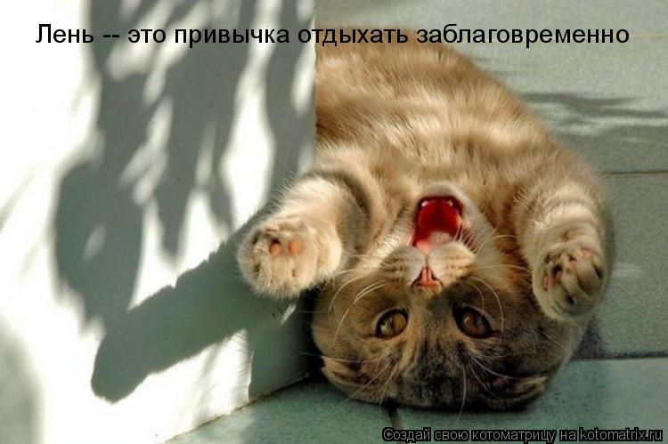 Лень -- это привычка отдыхать заблаговременно... Котоматрица: Лень -- это привычка отдыхать заблаговременно