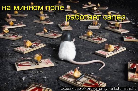 на минном поле работает сапер... Котоматрица: на минном поле работает сапер