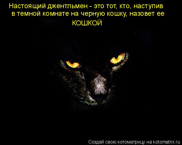 КОШКОЙ в темной комнате на черную кошку, назовет ее Настоящий джентльмен - это тот, кто, наступив... Котоматрица: КОШКОЙ в темной комнате на черную кошку, назовет ее Настоящий джентльмен - это тот, кто, наступив