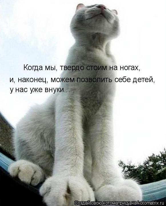 Когда мы, твердо стоим на ногах, и, наконец, можем позволить себе детей, и, наконец, можем позволит... Котоматрица: Когда мы, твердо стоим на ногах, и, наконец, можем позволить себе детей, и, наконец, можем позволить себе детей, у нас уже внуки...