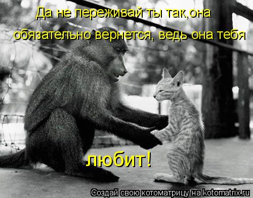 Да не переживай ты так,она обязательно вернется, ведь она тебя любит!... Котоматрица: Да не переживай ты так,она обязательно вернется, ведь она тебя любит!