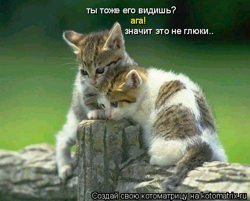 ты тоже его видишь? ага! значит это не глюки..... Котоматрица: ты тоже его видишь? ага! значит это не глюки..