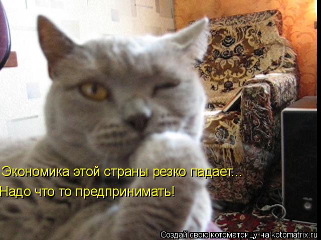 Экономика этой страны резко падает... Надо что то предпринимать!... Котоматрица: Экономика этой страны резко падает... Надо что то предпринимать!