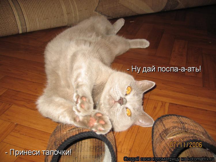- Принеси тапочки! - Ну дай поспа-а-ать!... Котоматрица: - Принеси тапочки! - Ну дай поспа-а-ать!