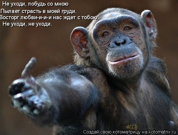 Не уходи, побудь со мною Пылает страсть в моей груди. Восторг любви-и-и-и нас ждет с тобою, Не уходи,... Котоматрица: Не уходи, побудь со мною Пылает страсть в моей груди. Восторг любви-и-и-и нас ждет с тобою, Не уходи, не уходи.