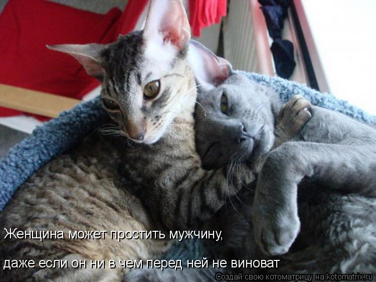 Женщина может простить мужчину, даже если он ни в чем перед ней не виноват... Котоматрица: Женщина может простить мужчину, даже если он ни в чем перед ней не виноват