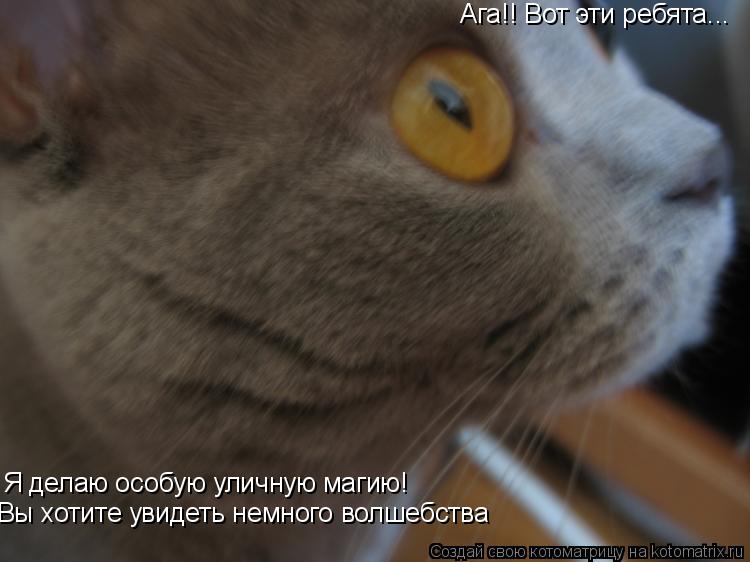 Ага!! Вот эти ребята... Я делаю особую уличную магию! Вы хотите увидеть немного волшебства... Котоматрица: Ага!! Вот эти ребята... Я делаю особую уличную магию! Вы хотите увидеть немного волшебства