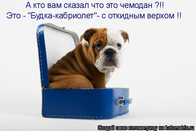А кто вам сказал что это чемодан ?!! Это - "Будка-кабриолет"- с откидным верхом !!... Котоматрица: А кто вам сказал что это чемодан ?!! Это - "Будка-кабриолет"- с откидным верхом !!