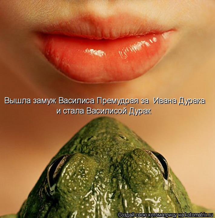 Вышла замуж Василиса Премудрая за Ивана Дурака и стала Василисой Дурак... Котоматрица: Вышла замуж Василиса Премудрая за Ивана Дурака и стала Василисой Дурак