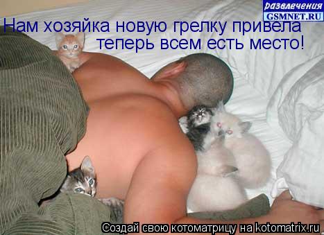 Нам хозяйка новую грелку привела теперь всем есть место!... Котоматрица: Нам хозяйка новую грелку привела теперь всем есть место!