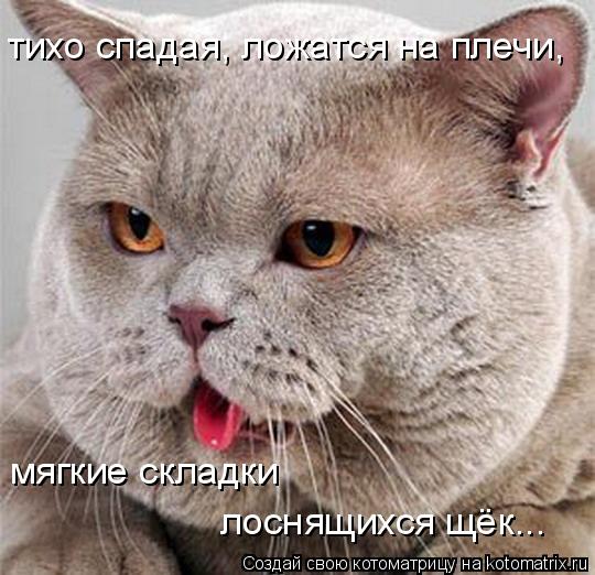 тихо спадая, ложатся на плечи, мягкие складки лоснящихся щёк...... Котоматрица: тихо спадая, ложатся на плечи, мягкие складки лоснящихся щёк...