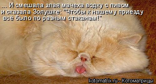 ... И смешала злая мачеха водку с пивом и сказала Золушке: "Чтобы к нашему приезду всё было по разн... Котоматрица: ... И смешала злая мачеха водку с пивом и сказала Золушке: "Чтобы к нашему приезду всё было по разным стаканам!"