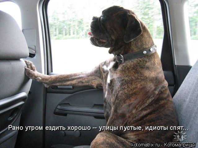 Рано утром ездить хорошо -- улицы пустые, идиоты спят...... Котоматрица: Рано утром ездить хорошо -- улицы пустые, идиоты спят...