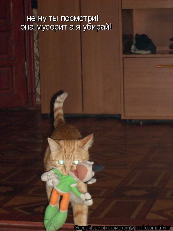 не ну ты посмотри! она мусорит а я убирай!... Котоматрица: не ну ты посмотри! она мусорит а я убирай!