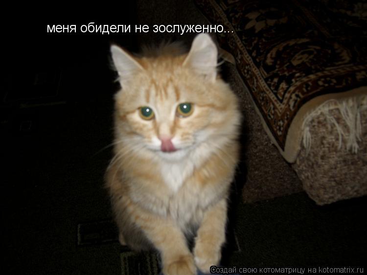 меня обидели не зослуженно...... Котоматрица: меня обидели не зослуженно...