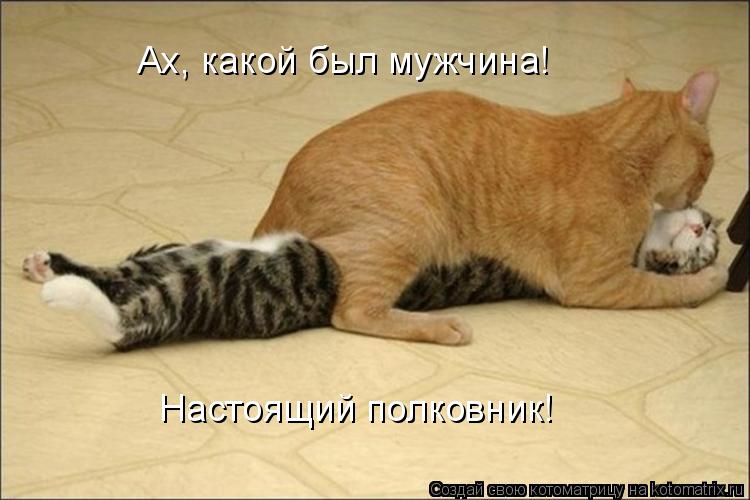 Котоматрица: Ах, какой был мужчина! Настоящий полковник!