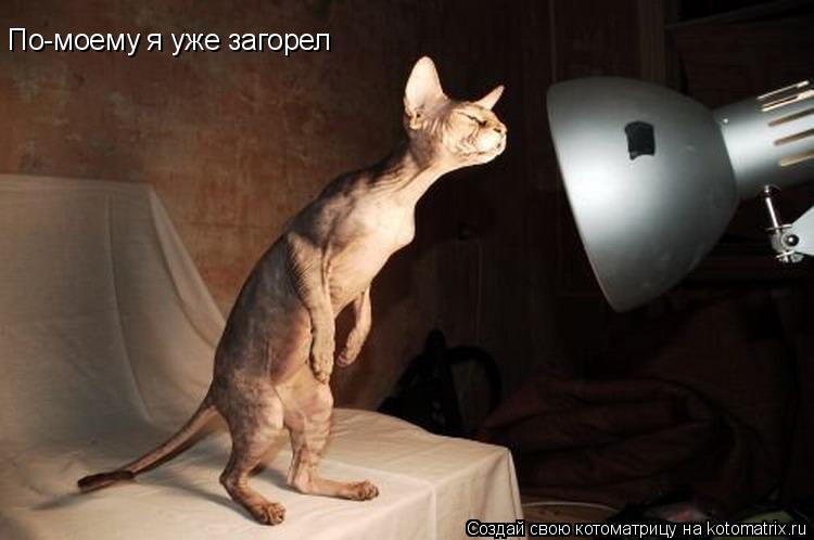 По-моему я уже загорел... Котоматрица: По-моему я уже загорел