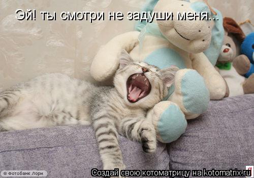Эй! ты смотри не задуши меня...... Котоматрица: Эй! ты смотри не задуши меня...