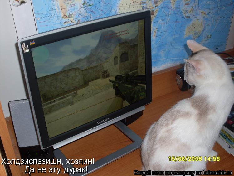 Холдзиспазишн, хозяин! Да не эту, дурак!... Котоматрица: Холдзиспазишн, хозяин! Да не эту, дурак!