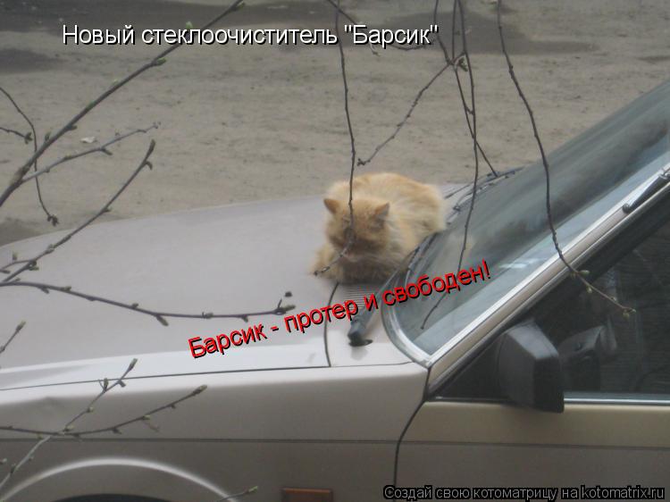 Новый стеклоочиститель "Барсик" Барсик - протер и свободен!... Котоматрица: Новый стеклоочиститель "Барсик" Барсик - протер и свободен!