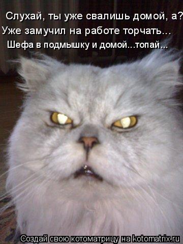 Слухай, ты уже свалишь домой, а? Уже замучил на работе торчать... Шефа в подмышку и домой...топай...... Котоматрица: Слухай, ты уже свалишь домой, а? Уже замучил на работе торчать... Шефа в подмышку и домой...топай...