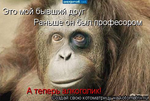 Это мой бывший друг А теперь алкоголик! Раньше он был професором... Котоматрица: Это мой бывший друг А теперь алкоголик! Раньше он был професором