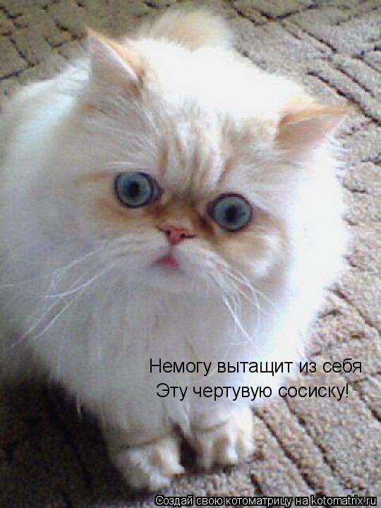 Немогу вытащит из себя Эту чертувую сосиску!... Котоматрица: Немогу вытащит из себя Эту чертувую сосиску!