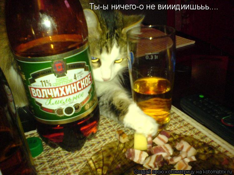 Ты-ы ничего-о не вииидиишььь....... Котоматрица: Ты-ы ничего-о не вииидиишььь....