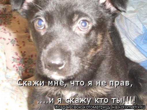 Скажи мне, что я не прав, ....и я скажу кто ты!!!!... Котоматрица: Скажи мне, что я не прав, ....и я скажу кто ты!!!!