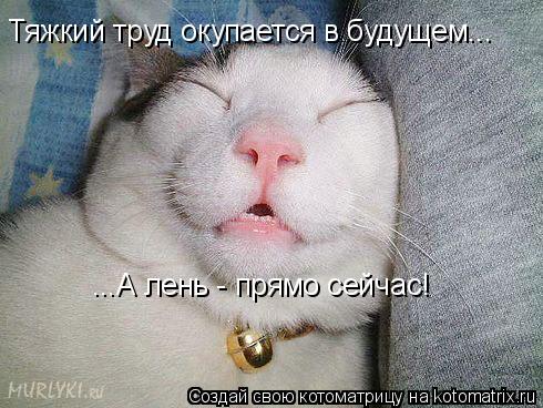 Тяжкий труд окупается в будущем... ...А лень - прямо сейчас!... Котоматрица: Тяжкий труд окупается в будущем... ...А лень - прямо сейчас!
